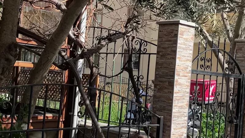 Nazım Turay — Google'daki yorum fotoğrafı